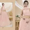 Zeel Ruhana Vol 1 Georgette Zari Embroidery Work Lehenga Choli Collection