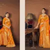 Zarkaashi Kanimoli Banarasi Katan Festival Wear Saree Collection