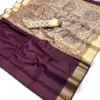 Rajyog Chitralekha 290001 to 9 Tussar Silk Plain Saree Collection
