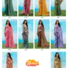 Stavan Celestial Fancy Embroidery Saree Collection