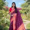 Vt 6079 T Banarasi Silk Meenakari Weaved Fancy Saree Collection