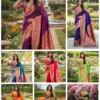 Vt 6081 T Soft Pethani Silk Zari Weaving Premium Saree Collection