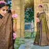 Bunawat Kantha Silk Sangam Prints Soft Silk Woven Worked Festive Saree Collection