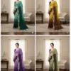 Ds 716 Multi Colour Sequence Embroidery Georgette Saree Collection
