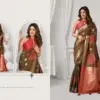 Gobuni Shraddha Silk Fancy Traditional Wear Saree Collection