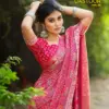 Kashvi Dastoor Vol 5 Viscose Casual Wear Saree Collection