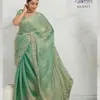 Sethnic Kaaya Verve Chiffon Velvet with Embroidered Saree Collection