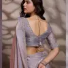 Sethnic Luminah Velvet Satin with Zarkan Border Party Wear Saree Collection