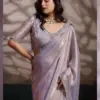 Sethnic Luminah Velvet Satin with Zarkan Border Party Wear Saree Collection