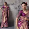 Sethnic Nakshi Banarasi Silk Sequence Work Saree Collection