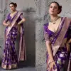 Sethnic Nakshi Banarasi Silk Sequence Work Saree Collection