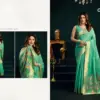 Gobuni Siya Munga Cotton Mina Worked Saree Collection