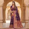 Mb 56 Pashmina Paithani Silk Woven Motifs Saree Collection